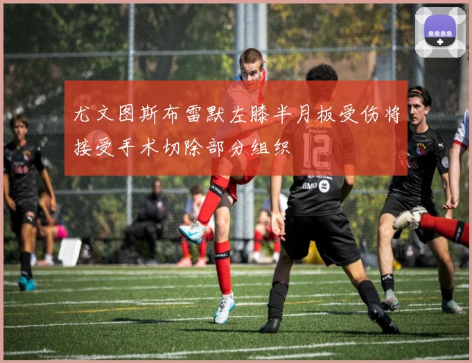 尤文图斯布雷默左膝半月板受伤将接受手术切除部分组织