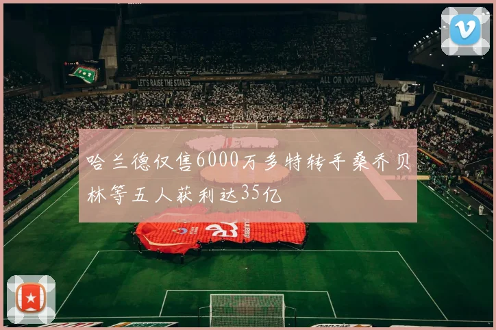 哈兰德仅售6000万多特转手桑乔贝林等五人获利达35亿