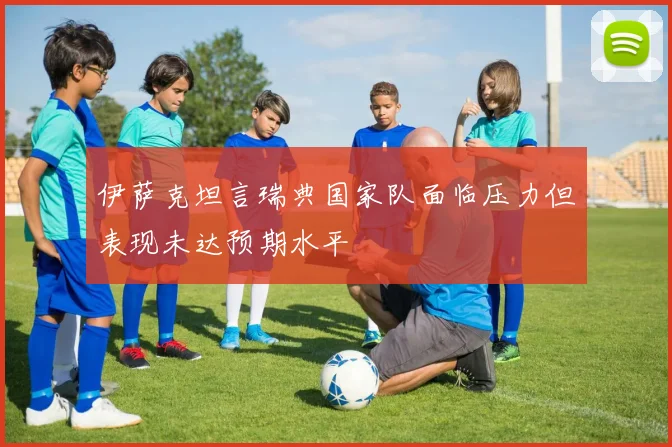 伊萨克坦言瑞典国家队面临压力但表现未达预期水平