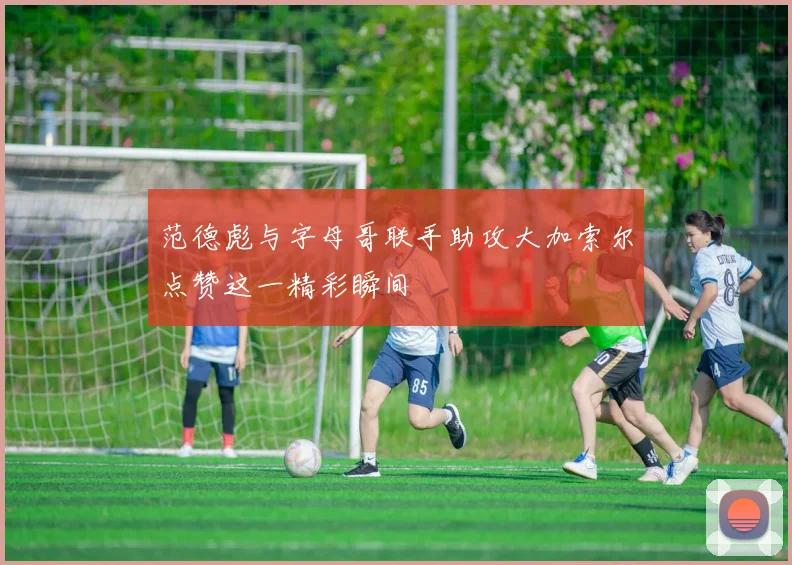范德彪与字母哥联手助攻大加索尔点赞这一精彩瞬间