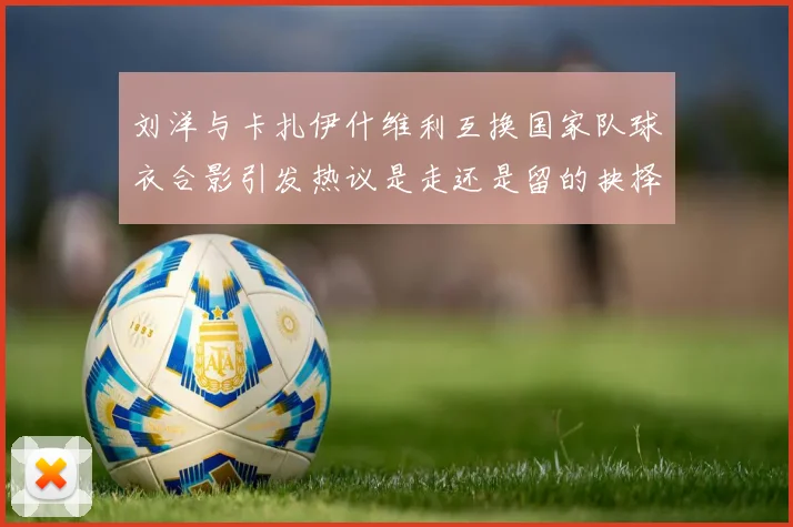 刘洋与卡扎伊什维利互换国家队球衣合影引发热议是走还是留的抉择时刻
