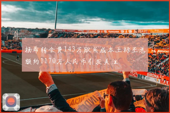 杨希转会费143万欧或成本土标王总额约1170万人民币引发关注